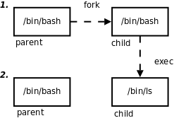 fork/exec