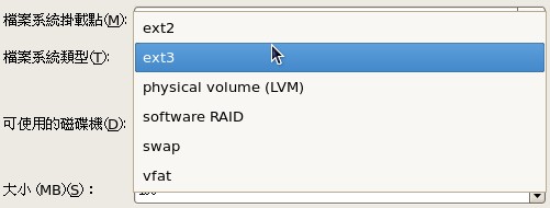 分割過程的檔案系統類型挑選