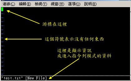 用 vi 開啟一個新檔案