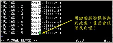 區塊選擇的結果示意圖 區塊選擇的結果示意圖