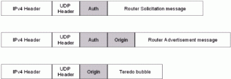 Figure 10: Types of packets containing the Authentication or  Origin indicators